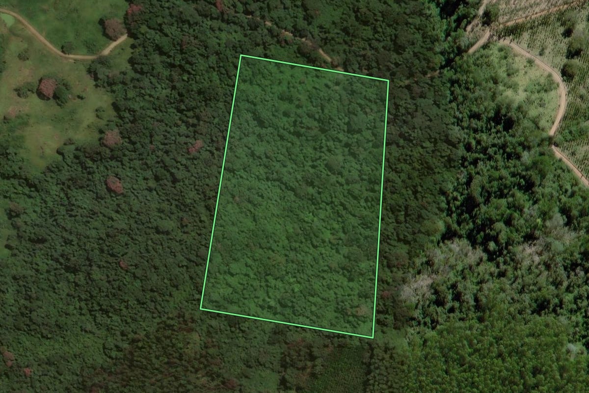 Imagem de satélite do imóvel rural em Pedra Bela (SP), com o contorno declarado no CAR desenhado por cima.