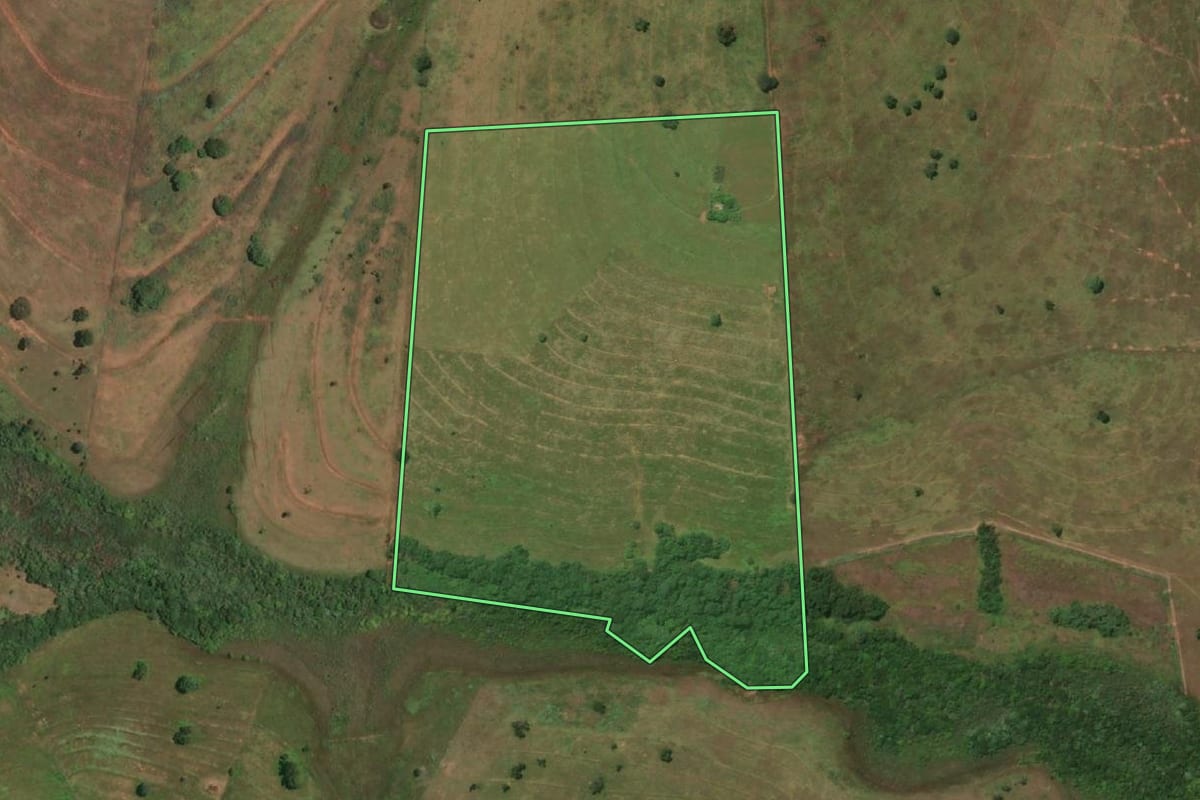 Imagem de satélite do imóvel rural em Pedranópolis (SP), com o contorno declarado no CAR desenhado por cima.
