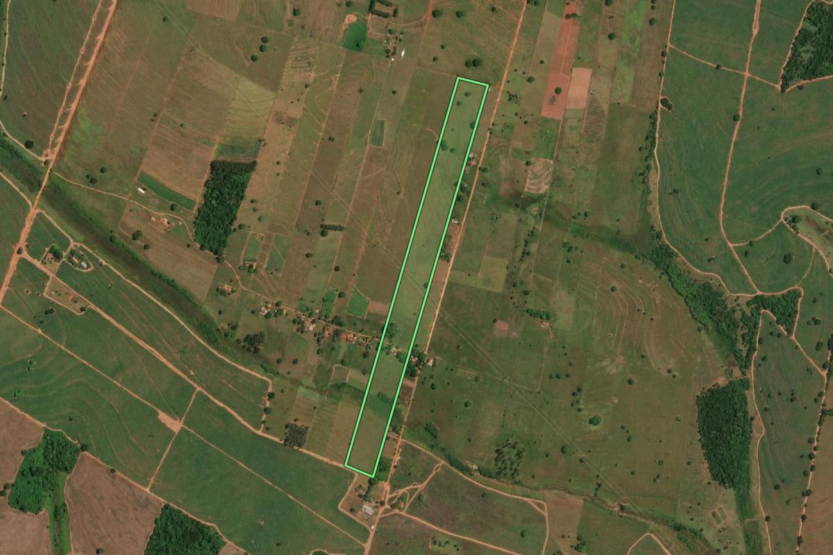 Imagem de satélite do imóvel rural em Pedranópolis (SP), com o contorno declarado no CAR desenhado por cima.