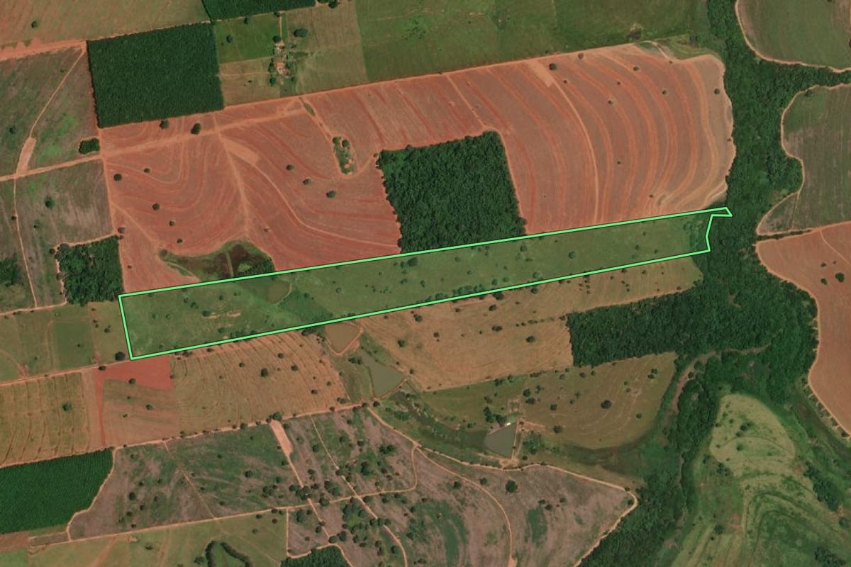 Imagem de satélite do imóvel rural em Pedranópolis (SP), com o contorno declarado no CAR desenhado por cima.