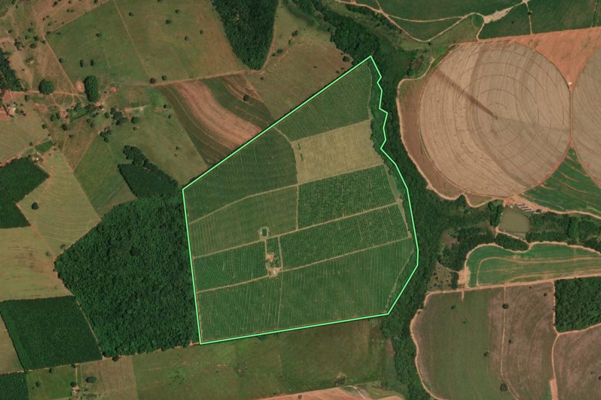 Imagem de satélite do imóvel rural em Pedranópolis (SP), com o contorno declarado no CAR desenhado por cima.