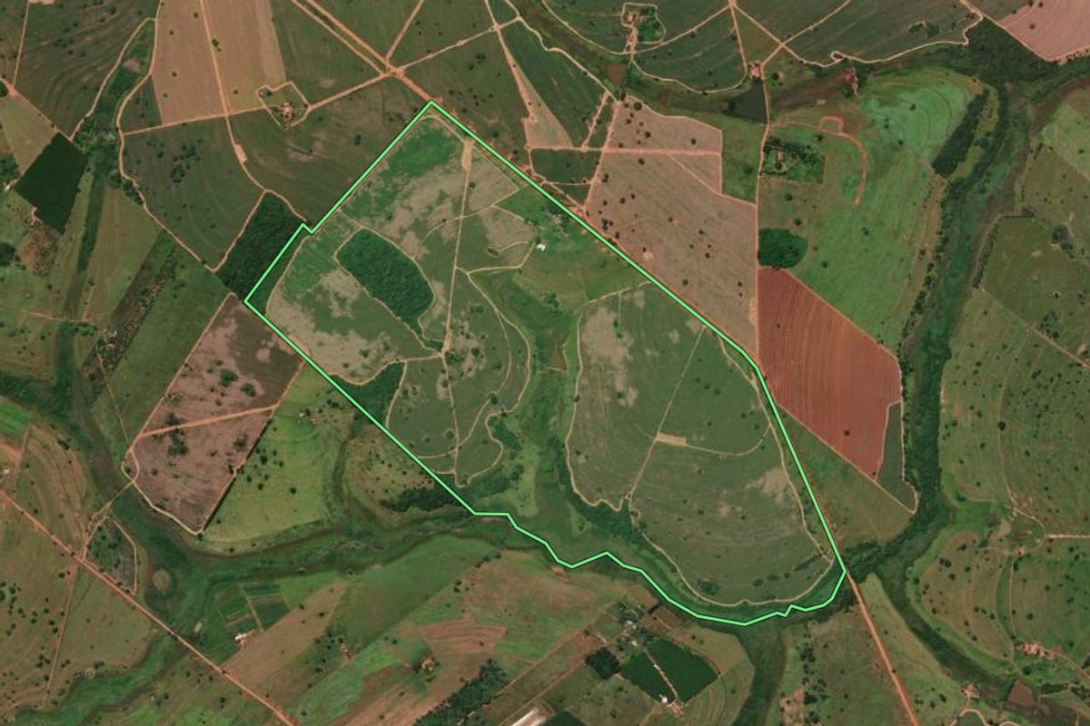 Imagem de satélite do imóvel rural em Pedranópolis (SP), com o contorno declarado no CAR desenhado por cima.