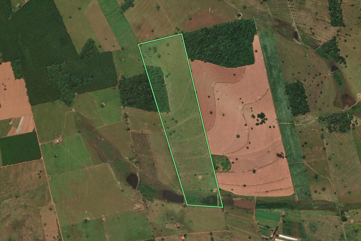 Imagem de satélite do imóvel rural em Pedranópolis (SP), com o contorno declarado no CAR desenhado por cima.