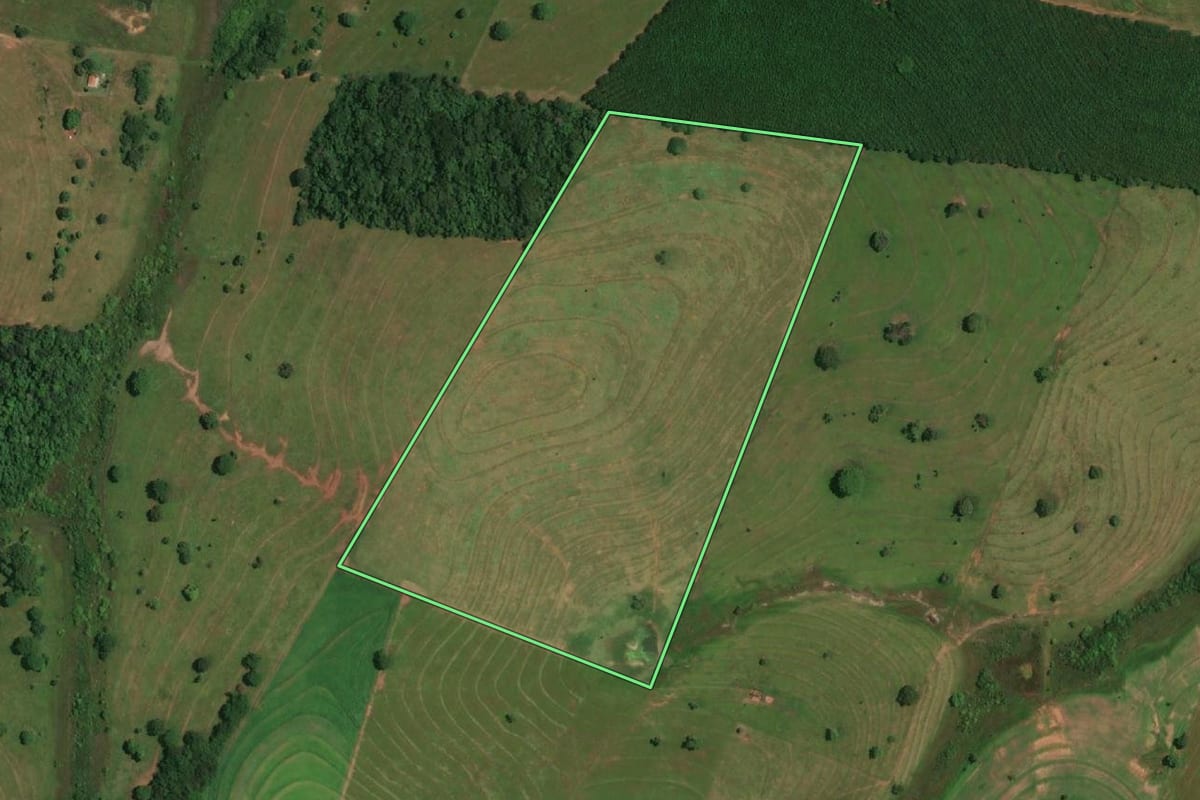 Imagem de satélite do imóvel rural em Pedranópolis (SP), com o contorno declarado no CAR desenhado por cima.