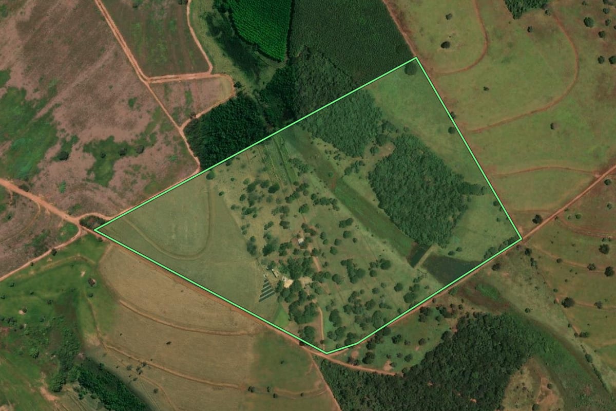 Imagem de satélite do imóvel rural em Pedranópolis (SP), com o contorno declarado no CAR desenhado por cima.
