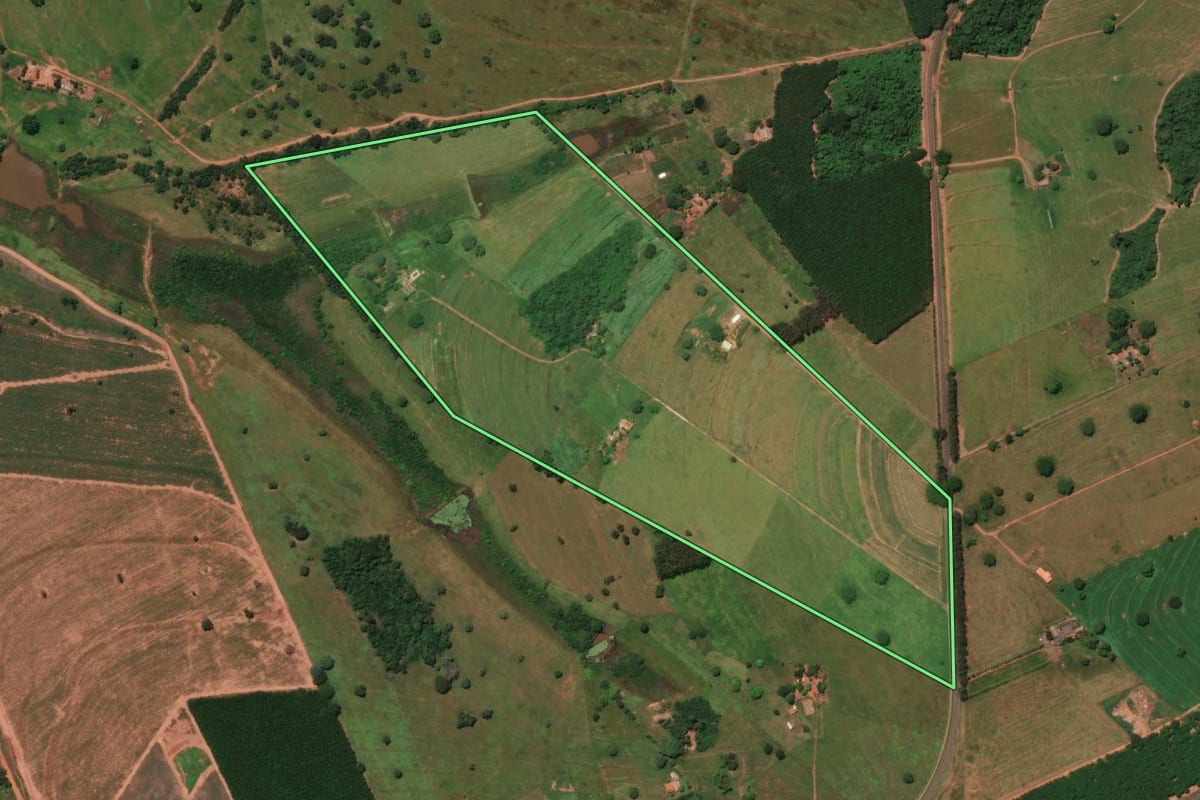 Imagem de satélite do imóvel rural em Pedranópolis (SP), com o contorno declarado no CAR desenhado por cima.
