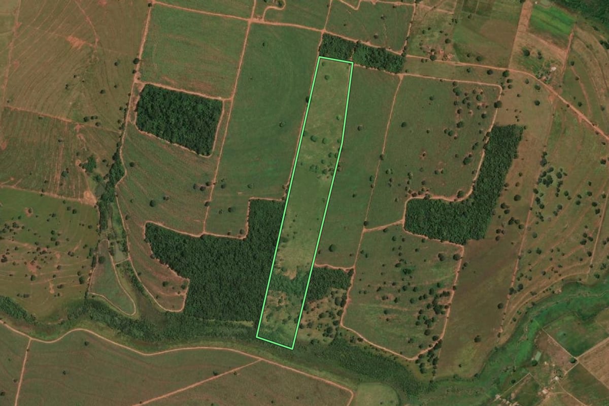 Imagem de satélite do imóvel rural em Pedranópolis (SP), com o contorno declarado no CAR desenhado por cima.