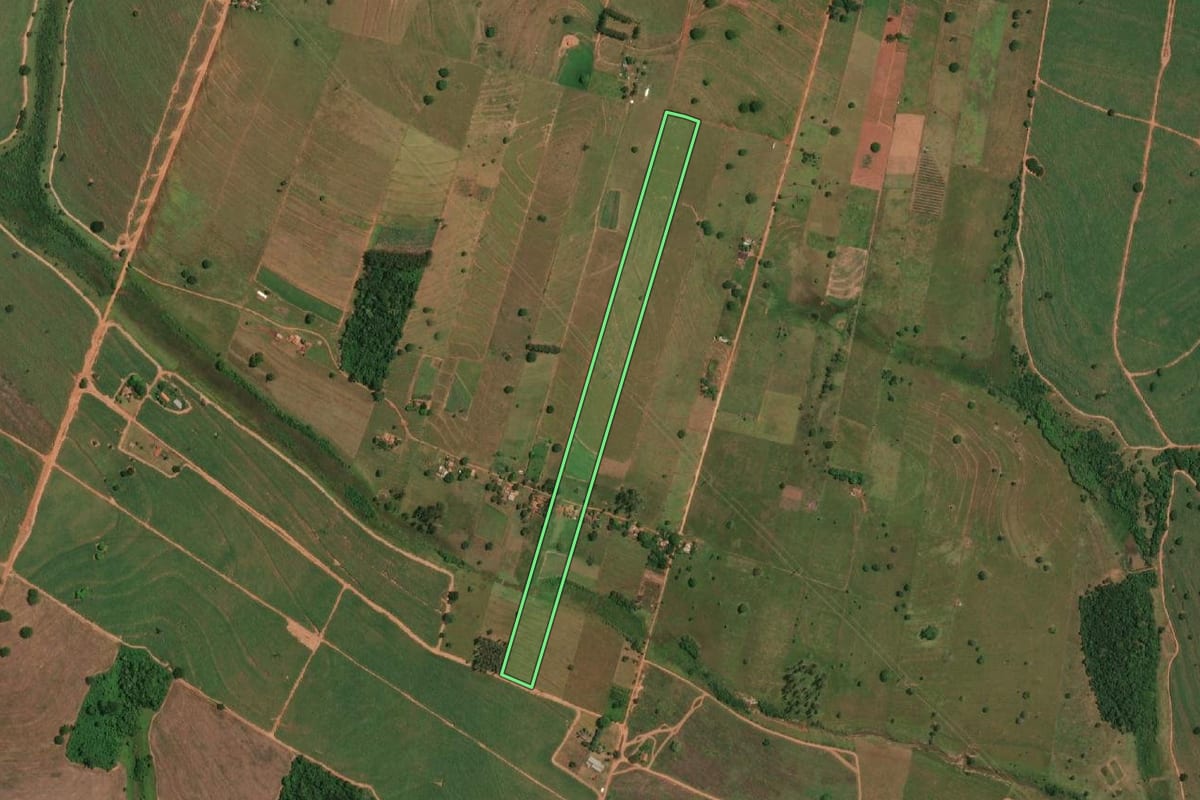 Imagem de satélite do imóvel rural em Pedranópolis (SP), com o contorno declarado no CAR desenhado por cima.