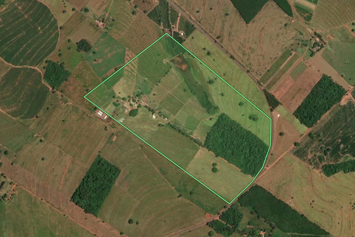 Imagem de satélite do imóvel rural em Pedranópolis (SP), com o contorno declarado no CAR desenhado por cima.
