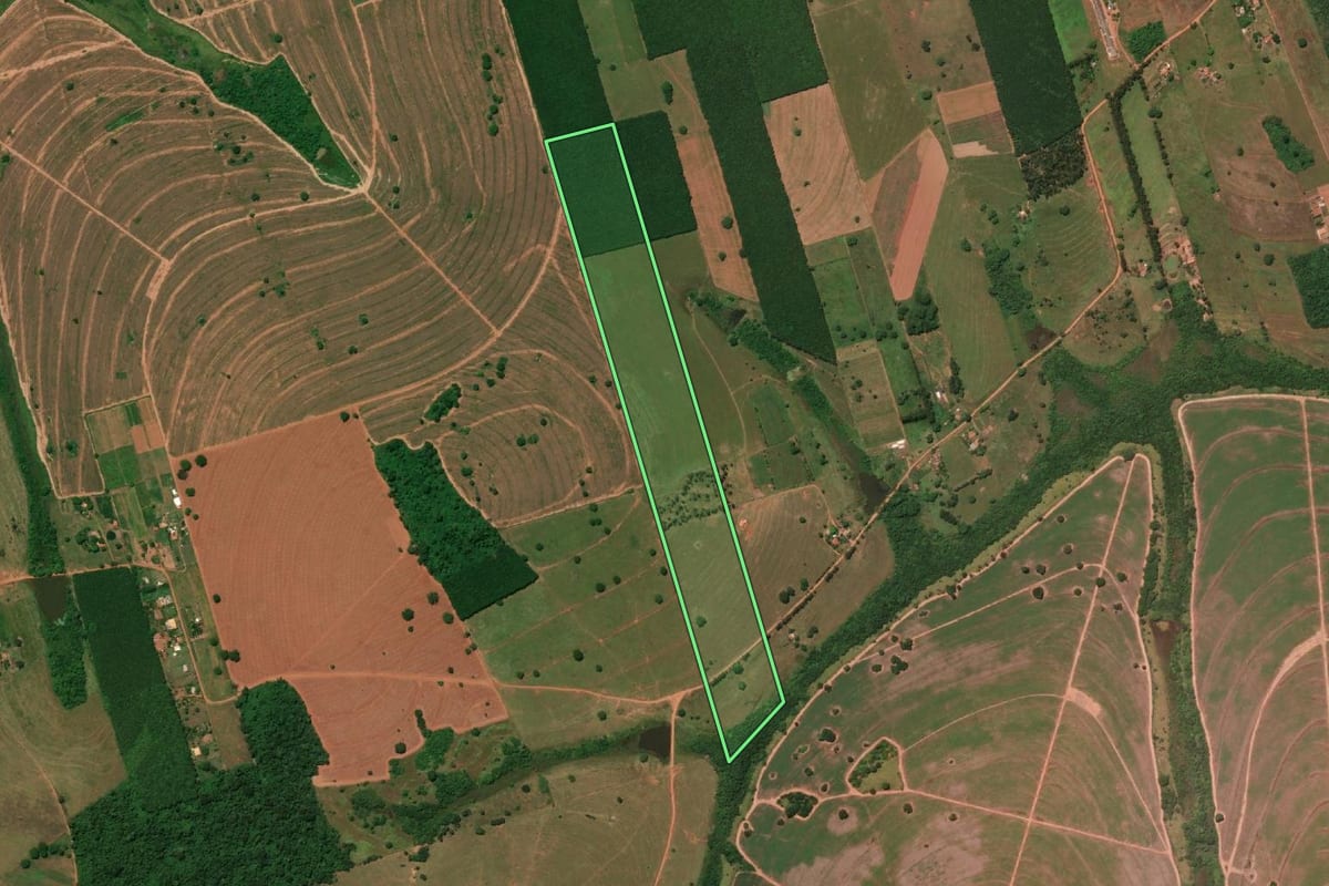 Imagem de satélite do imóvel rural em Pedranópolis (SP), com o contorno declarado no CAR desenhado por cima.