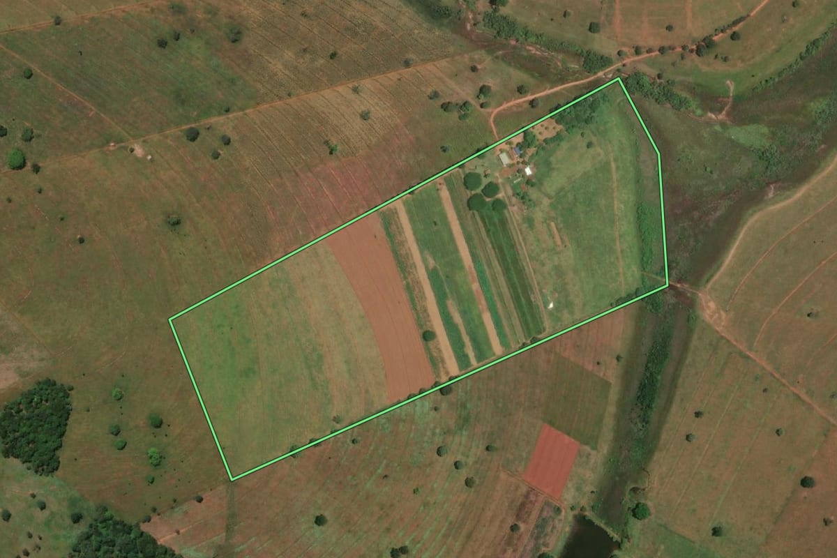 Imagem de satélite do imóvel rural em Pedranópolis (SP), com o contorno declarado no CAR desenhado por cima.