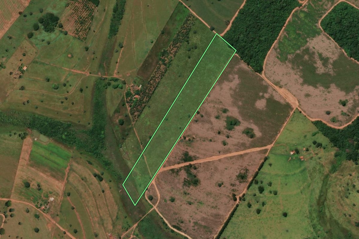 Imagem de satélite do imóvel rural em Pedranópolis (SP), com o contorno declarado no CAR desenhado por cima.