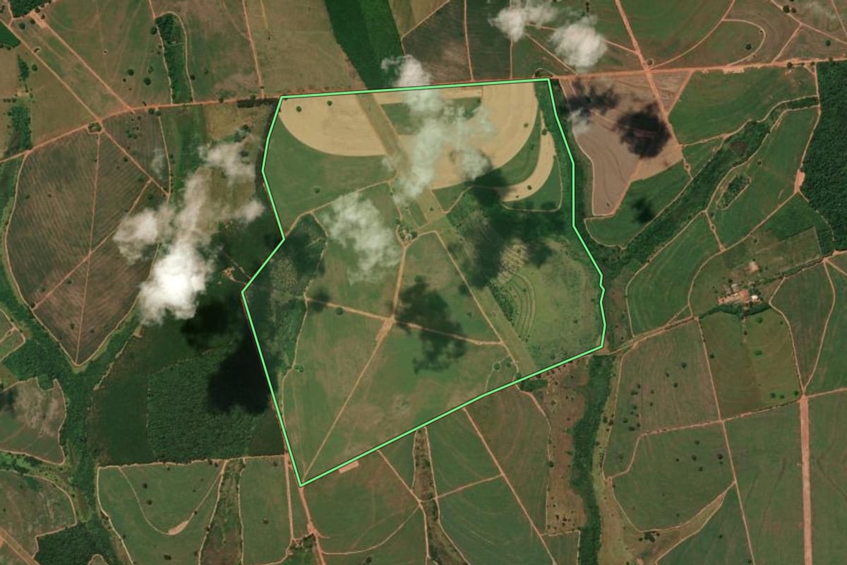 Imagem de satélite do imóvel rural em Pedranópolis (SP), com o contorno declarado no CAR desenhado por cima.