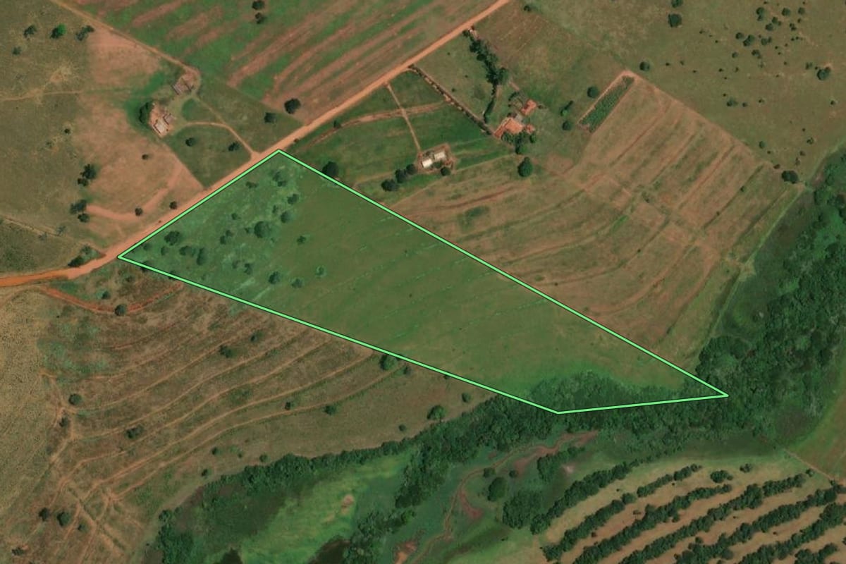 Imagem de satélite do imóvel rural em Pedranópolis (SP), com o contorno declarado no CAR desenhado por cima.