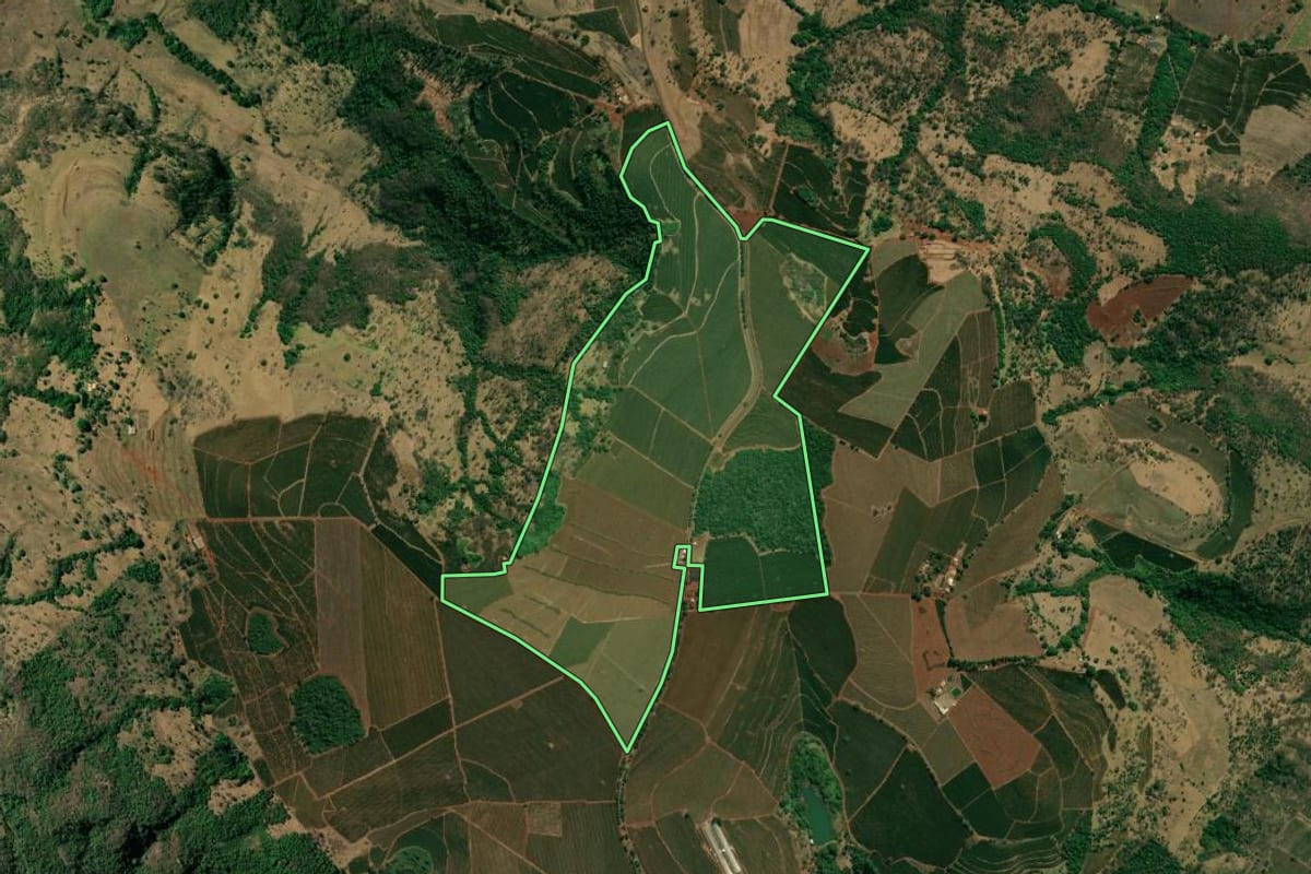 Imagem de satélite do imóvel rural em Pedregulho (SP), com o contorno declarado no CAR desenhado por cima.