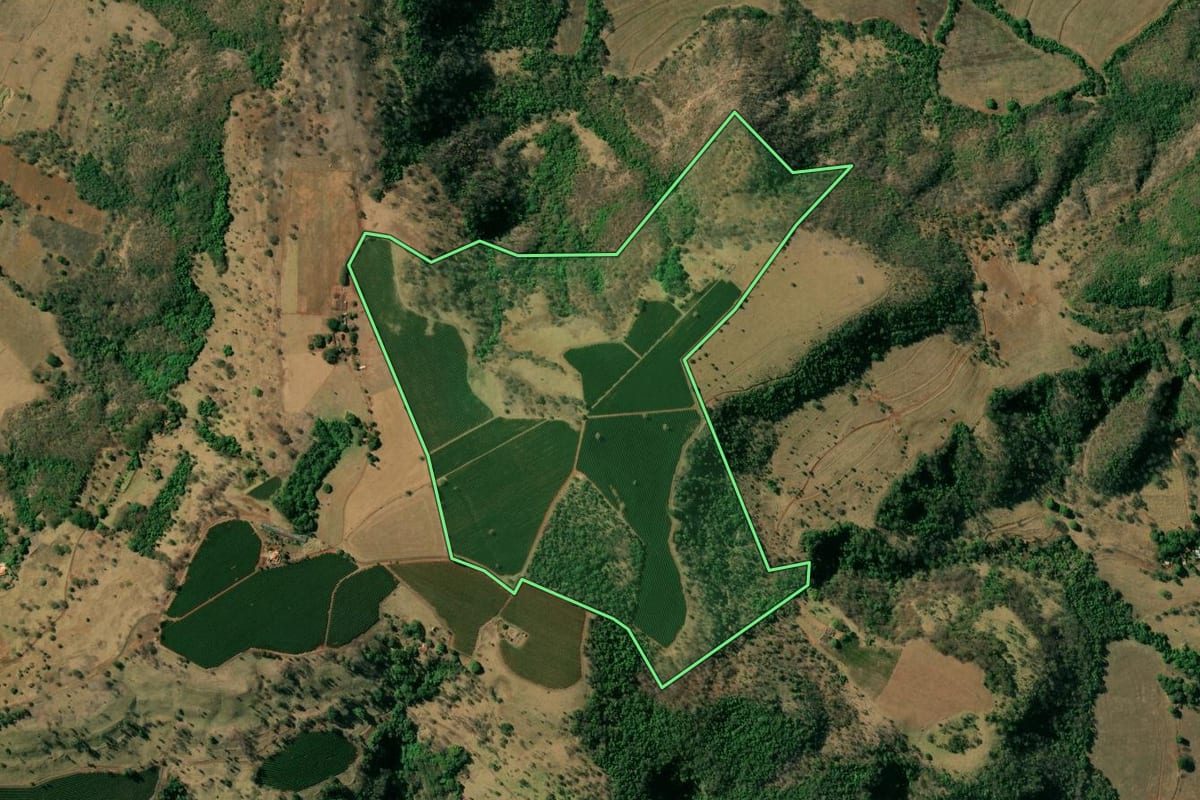 Imagem de satélite do imóvel rural em Pedregulho (SP), com o contorno declarado no CAR desenhado por cima.