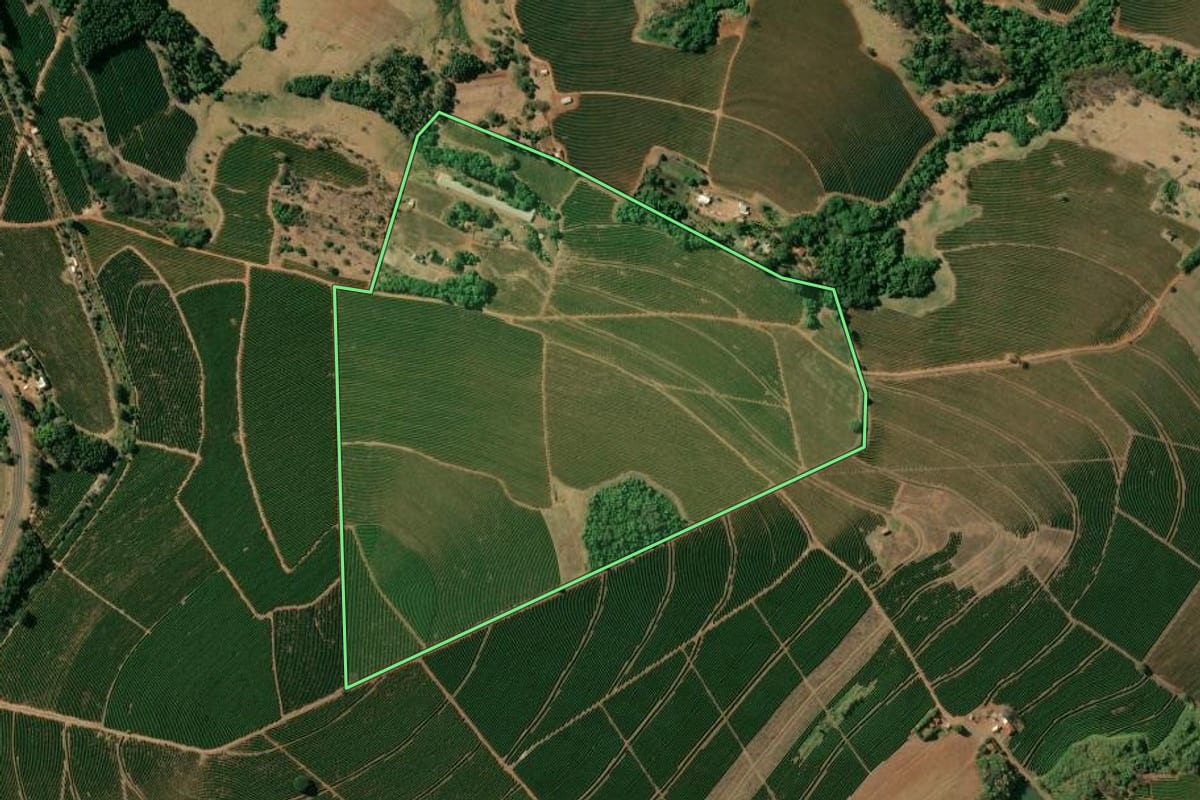 Imagem de satélite do imóvel rural em Pedregulho (SP), com o contorno declarado no CAR desenhado por cima.