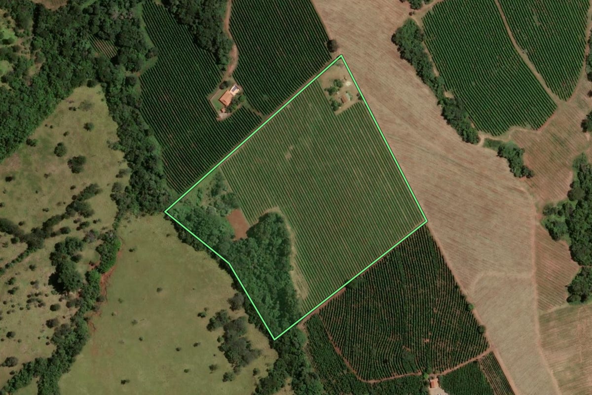 Imagem de satélite do imóvel rural em Pedregulho (SP), com o contorno declarado no CAR desenhado por cima.