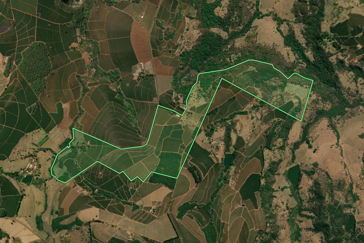 Imagem de satélite do imóvel rural em Pedregulho (SP), com o contorno declarado no CAR desenhado por cima.
