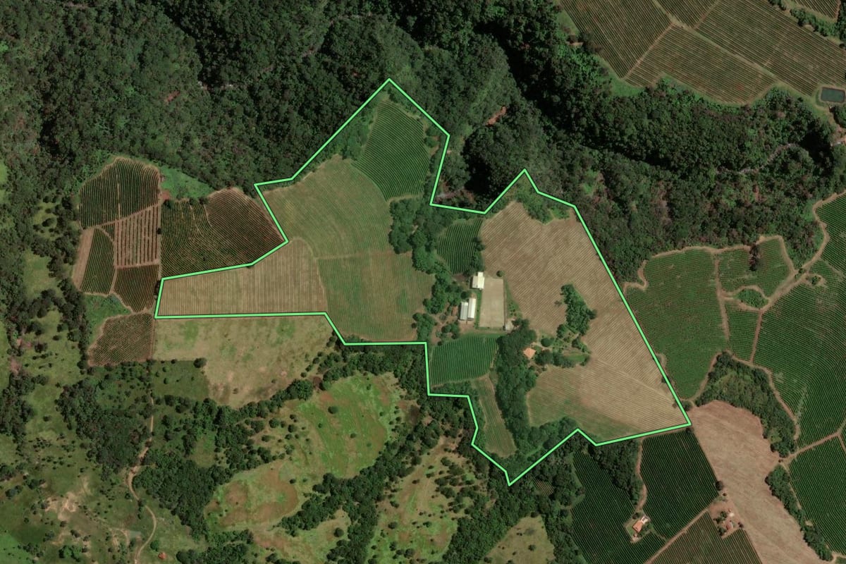 Imagem de satélite do imóvel rural em Pedregulho (SP), com o contorno declarado no CAR desenhado por cima.