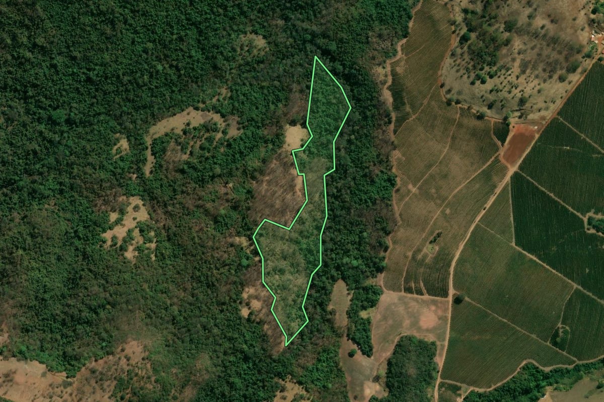 Imagem de satélite do imóvel rural em Pedregulho (SP), com o contorno declarado no CAR desenhado por cima.