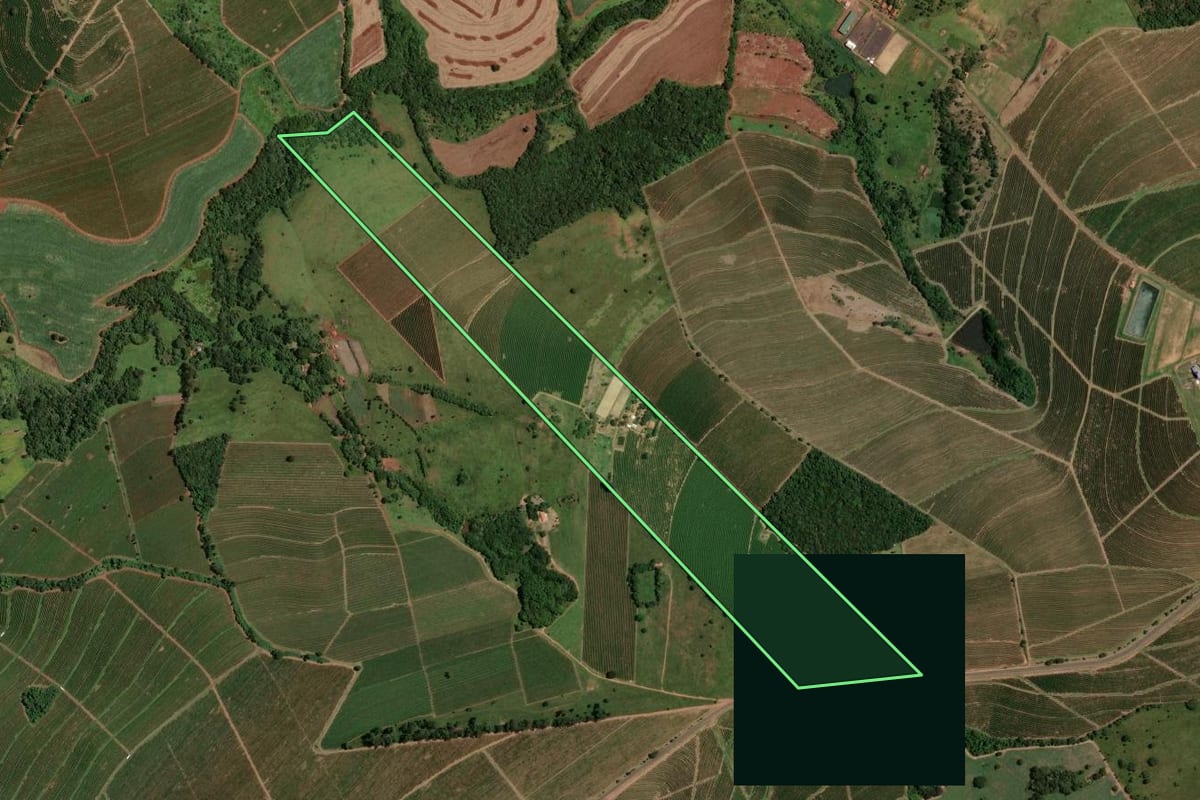 Imagem de satélite do imóvel rural em Pedregulho (SP), com o contorno declarado no CAR desenhado por cima.