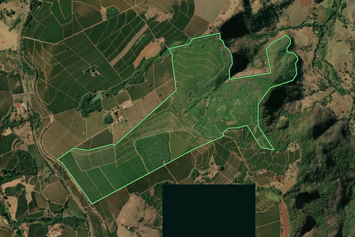 Imagem de satélite do imóvel rural em Pedregulho (SP), com o contorno declarado no CAR desenhado por cima.