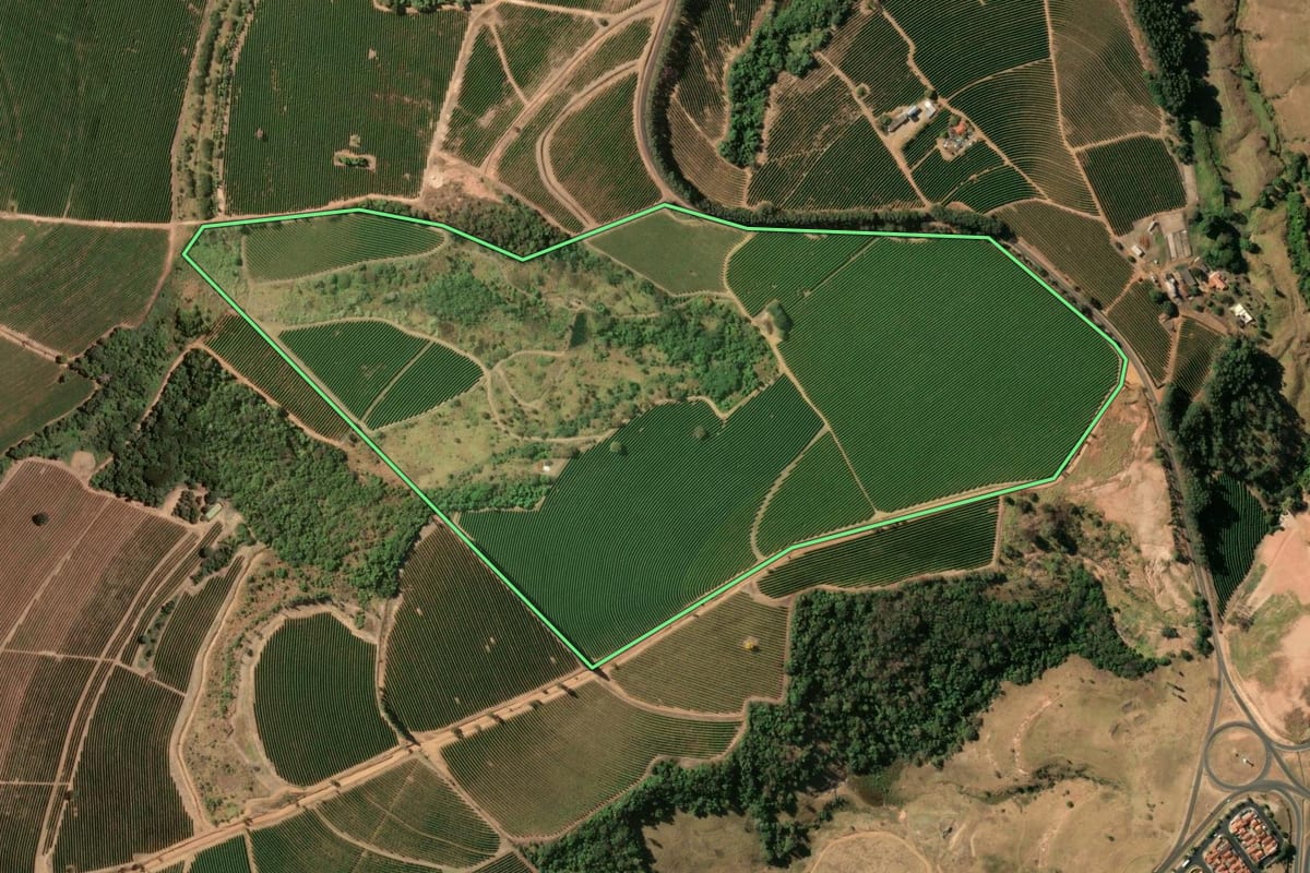 Imagem de satélite do imóvel rural em Pedregulho (SP), com o contorno declarado no CAR desenhado por cima.