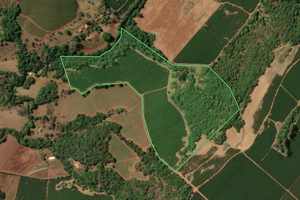 Imagem de satélite do imóvel rural em Pedregulho (SP), com o contorno declarado no CAR desenhado por cima.