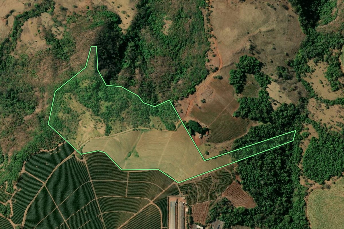 Imagem de satélite do imóvel rural em Pedregulho (SP), com o contorno declarado no CAR desenhado por cima.