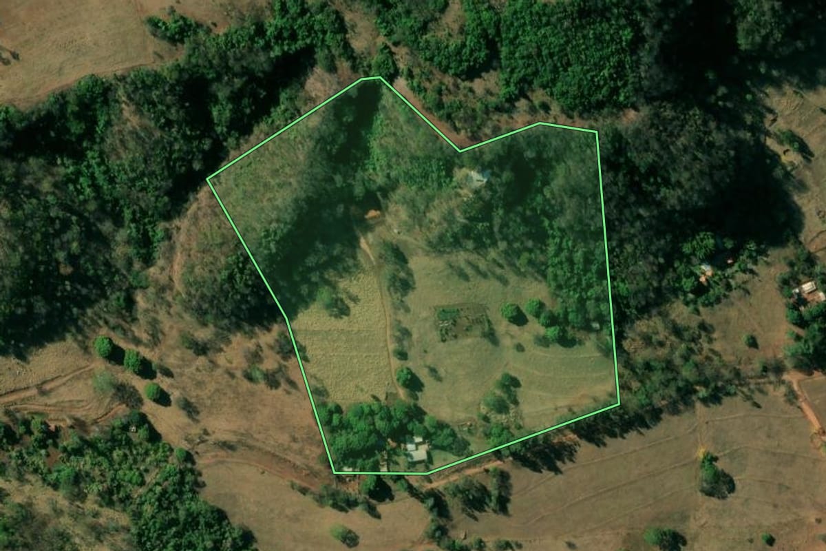 Imagem de satélite do imóvel rural em Pedregulho (SP), com o contorno declarado no CAR desenhado por cima.