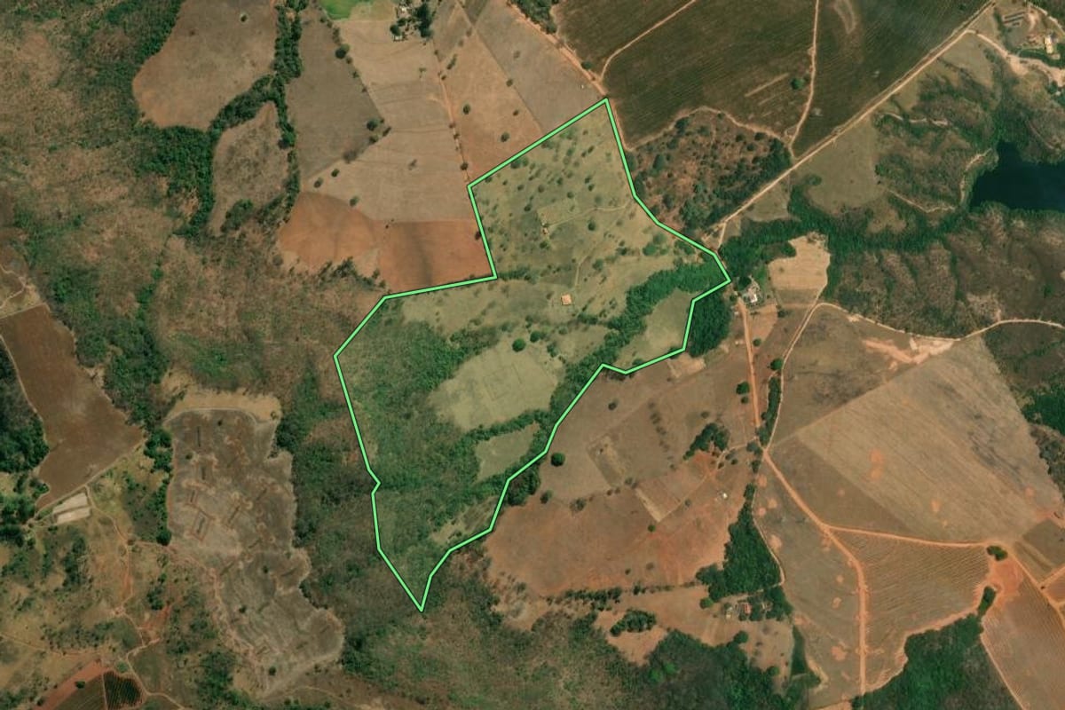 Imagem de satélite do imóvel rural em Pedregulho (SP), com o contorno declarado no CAR desenhado por cima.