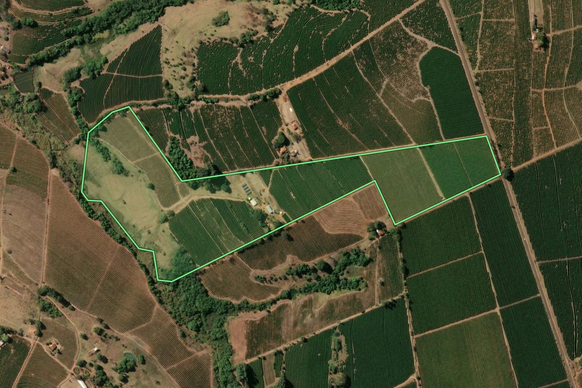 Imagem de satélite do imóvel rural em Pedregulho (SP), com o contorno declarado no CAR desenhado por cima.
