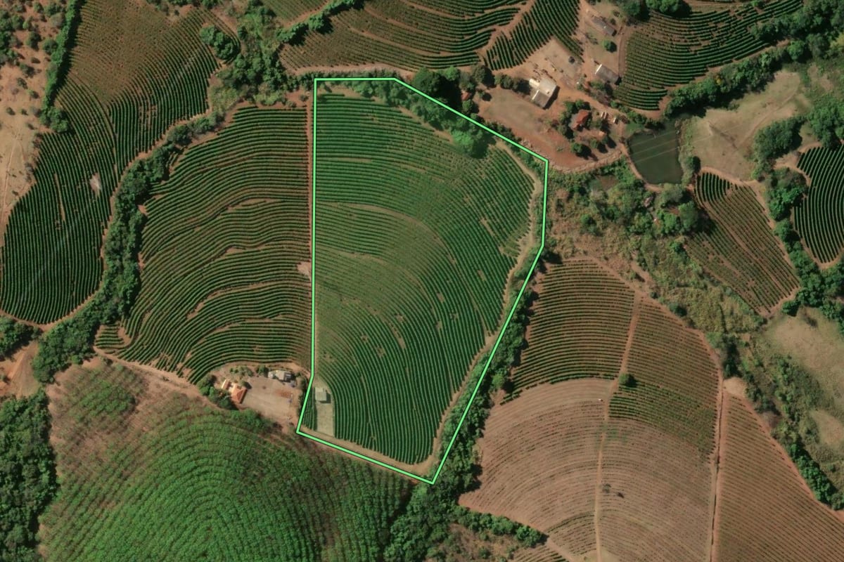 Imagem de satélite do imóvel rural em Pedregulho (SP), com o contorno declarado no CAR desenhado por cima.