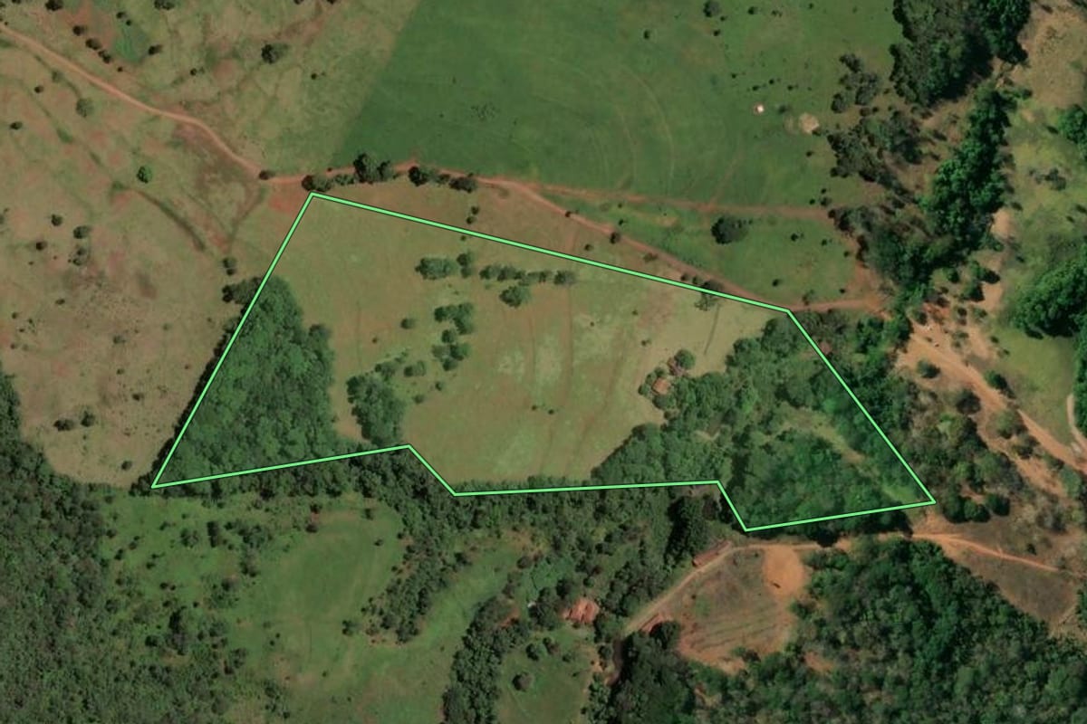 Imagem de satélite do imóvel rural em Pedregulho (SP), com o contorno declarado no CAR desenhado por cima.