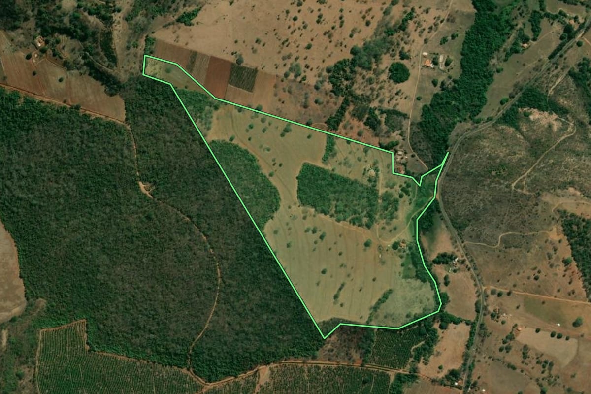 Imagem de satélite do imóvel rural em Pedregulho (SP), com o contorno declarado no CAR desenhado por cima.