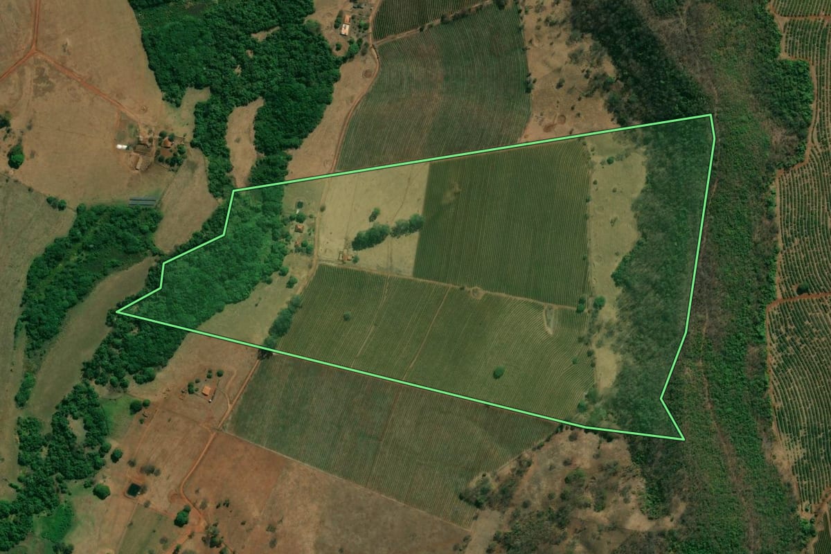 Imagem de satélite do imóvel rural em Pedregulho (SP), com o contorno declarado no CAR desenhado por cima.