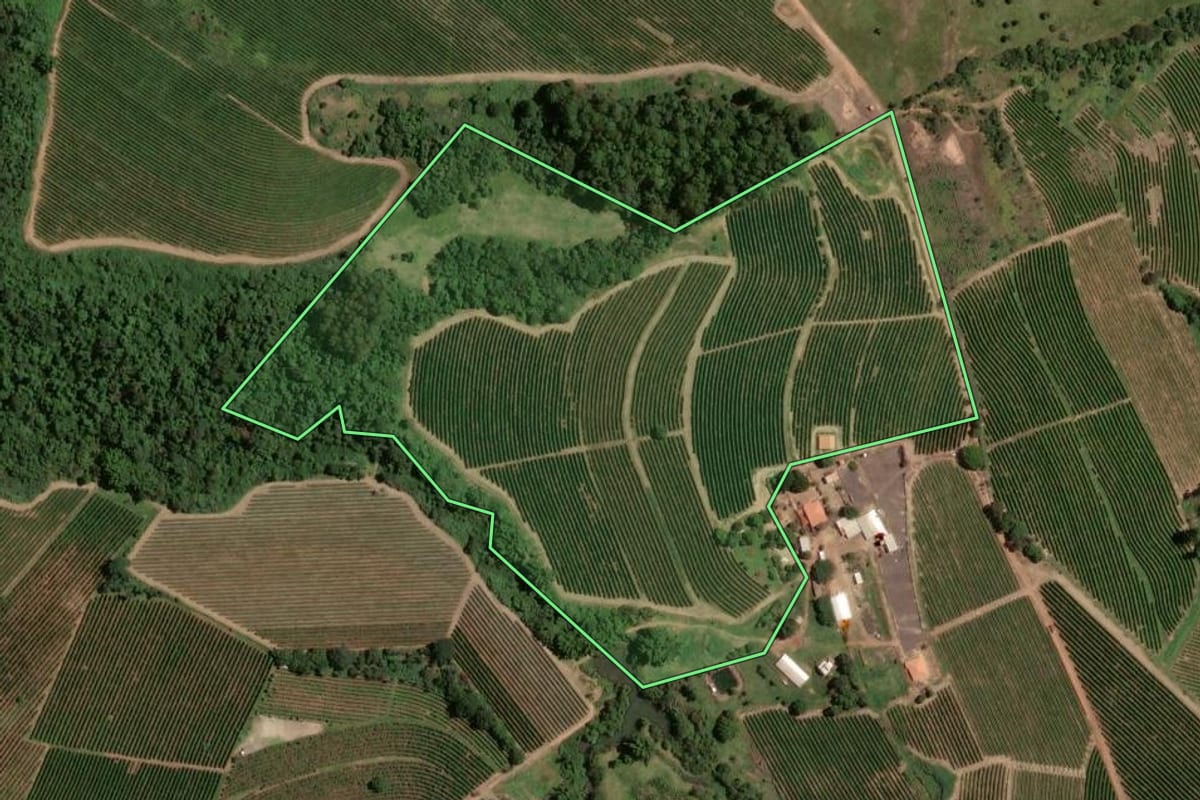 Imagem de satélite do imóvel rural em Pedregulho (SP), com o contorno declarado no CAR desenhado por cima.