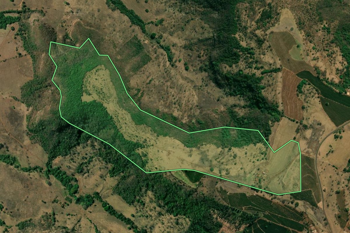 Imagem de satélite do imóvel rural em Pedregulho (SP), com o contorno declarado no CAR desenhado por cima.