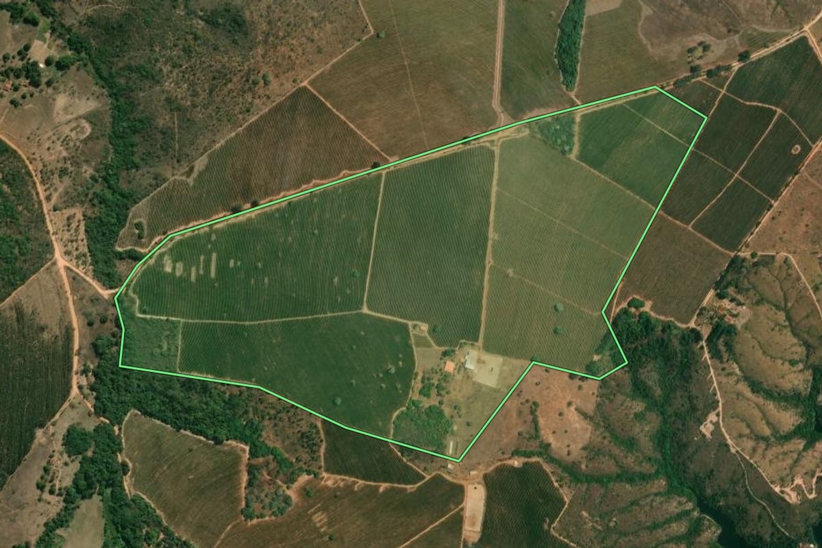 Imagem de satélite do imóvel rural em Pedregulho (SP), com o contorno declarado no CAR desenhado por cima.