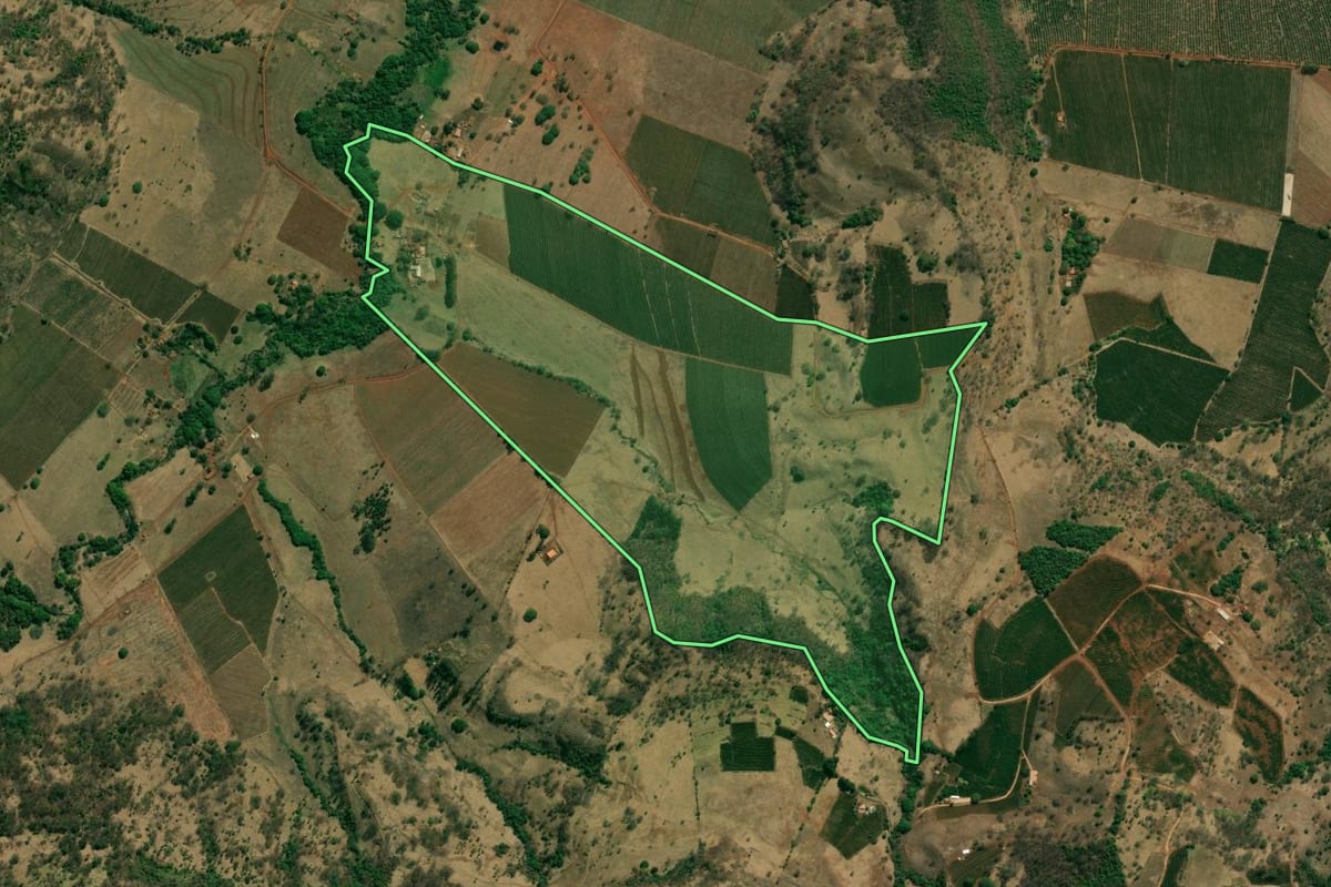 Imagem de satélite do imóvel rural em Pedregulho (SP), com o contorno declarado no CAR desenhado por cima.