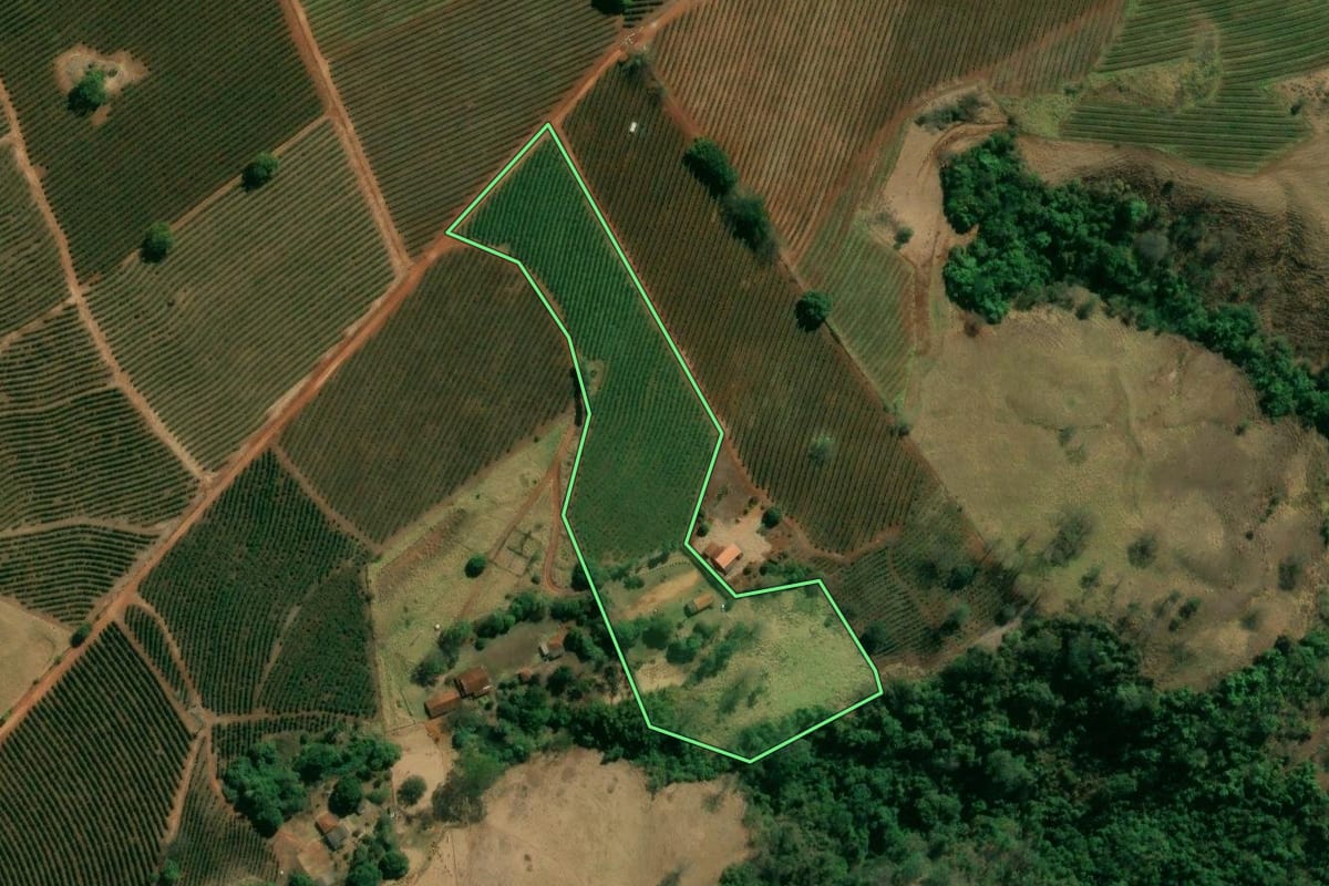 Imagem de satélite do imóvel rural em Pedregulho (SP), com o contorno declarado no CAR desenhado por cima.