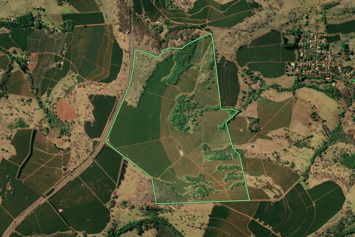 Imagem de satélite do imóvel rural em Pedregulho (SP), com o contorno declarado no CAR desenhado por cima.