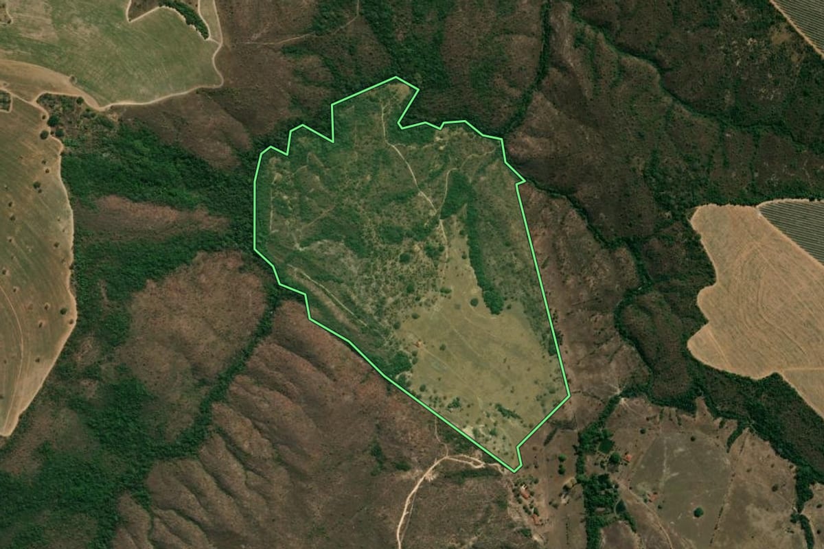 Imagem de satélite do imóvel rural em Pedregulho (SP), com o contorno declarado no CAR desenhado por cima.