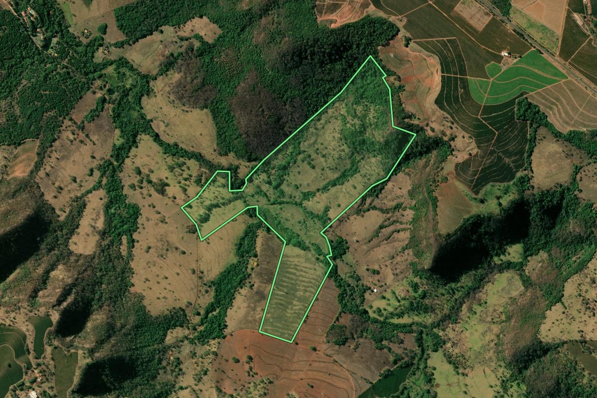 Imagem de satélite do imóvel rural em Pedregulho (SP), com o contorno declarado no CAR desenhado por cima.