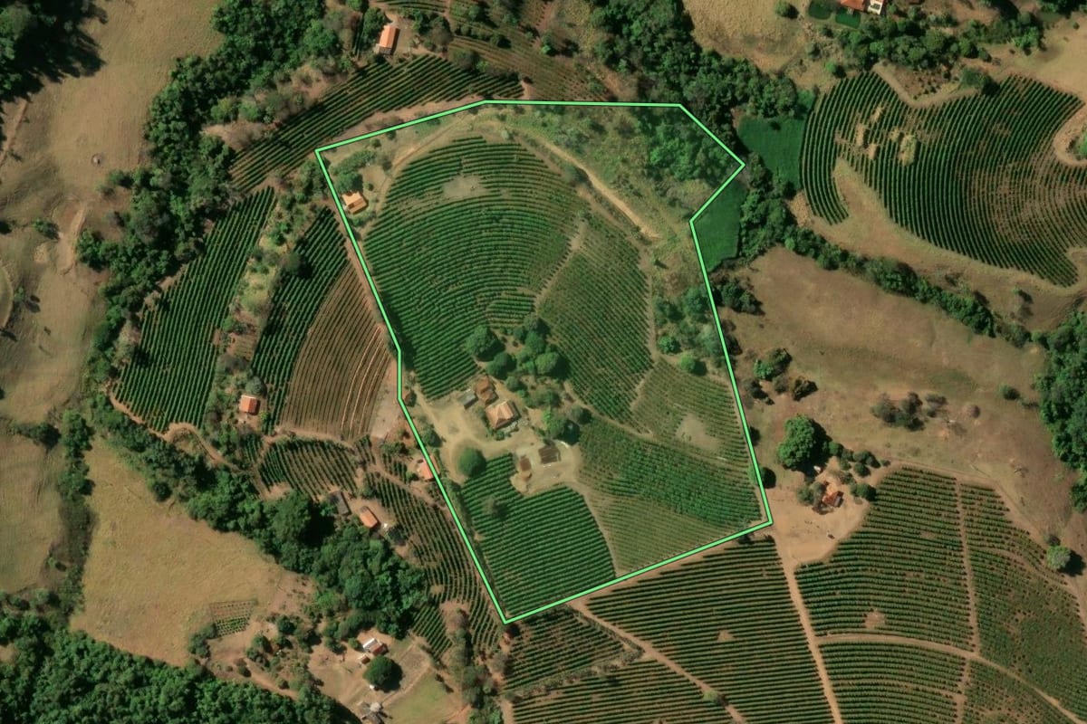Imagem de satélite do imóvel rural em Pedregulho (SP), com o contorno declarado no CAR desenhado por cima.