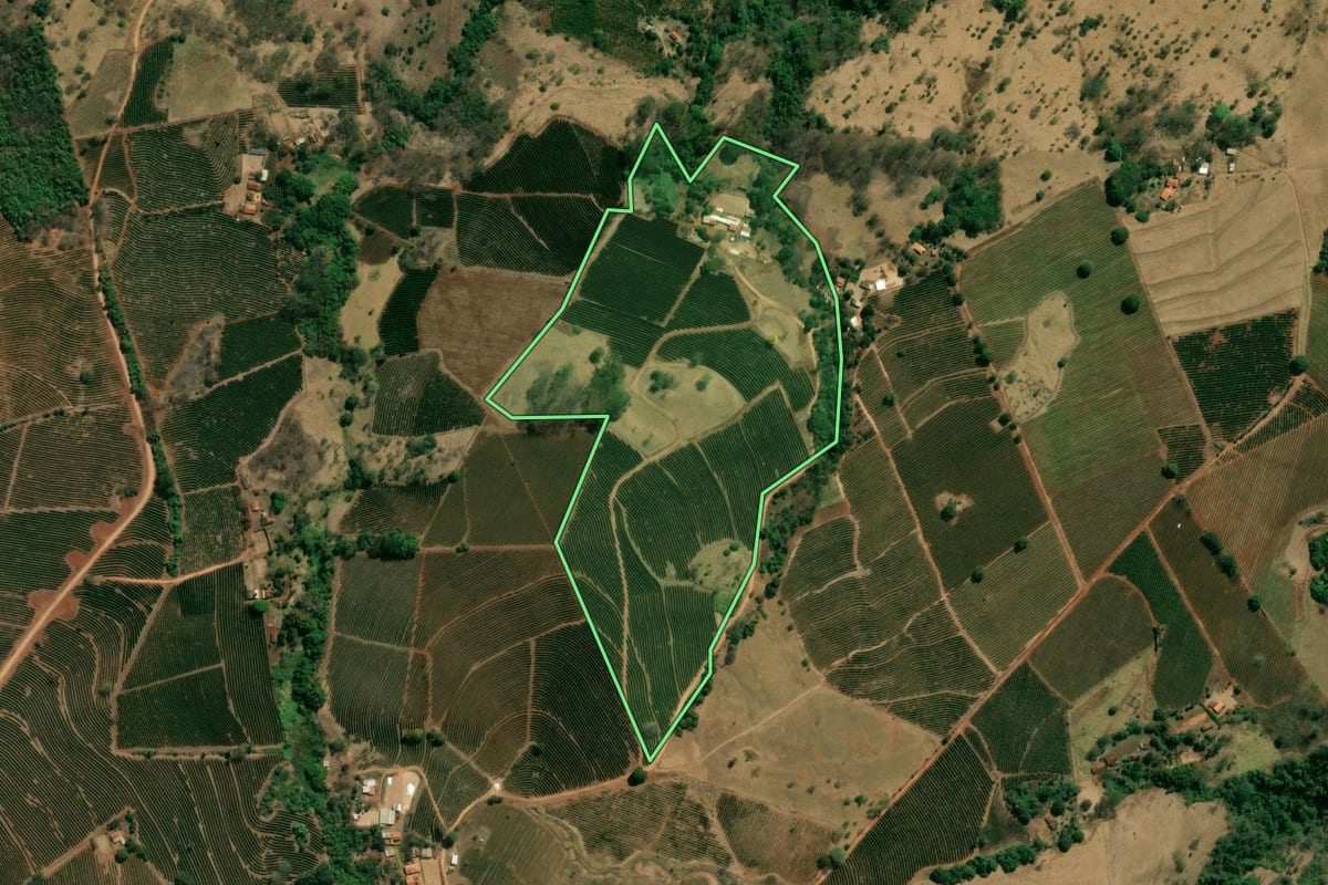 Imagem de satélite do imóvel rural em Pedregulho (SP), com o contorno declarado no CAR desenhado por cima.