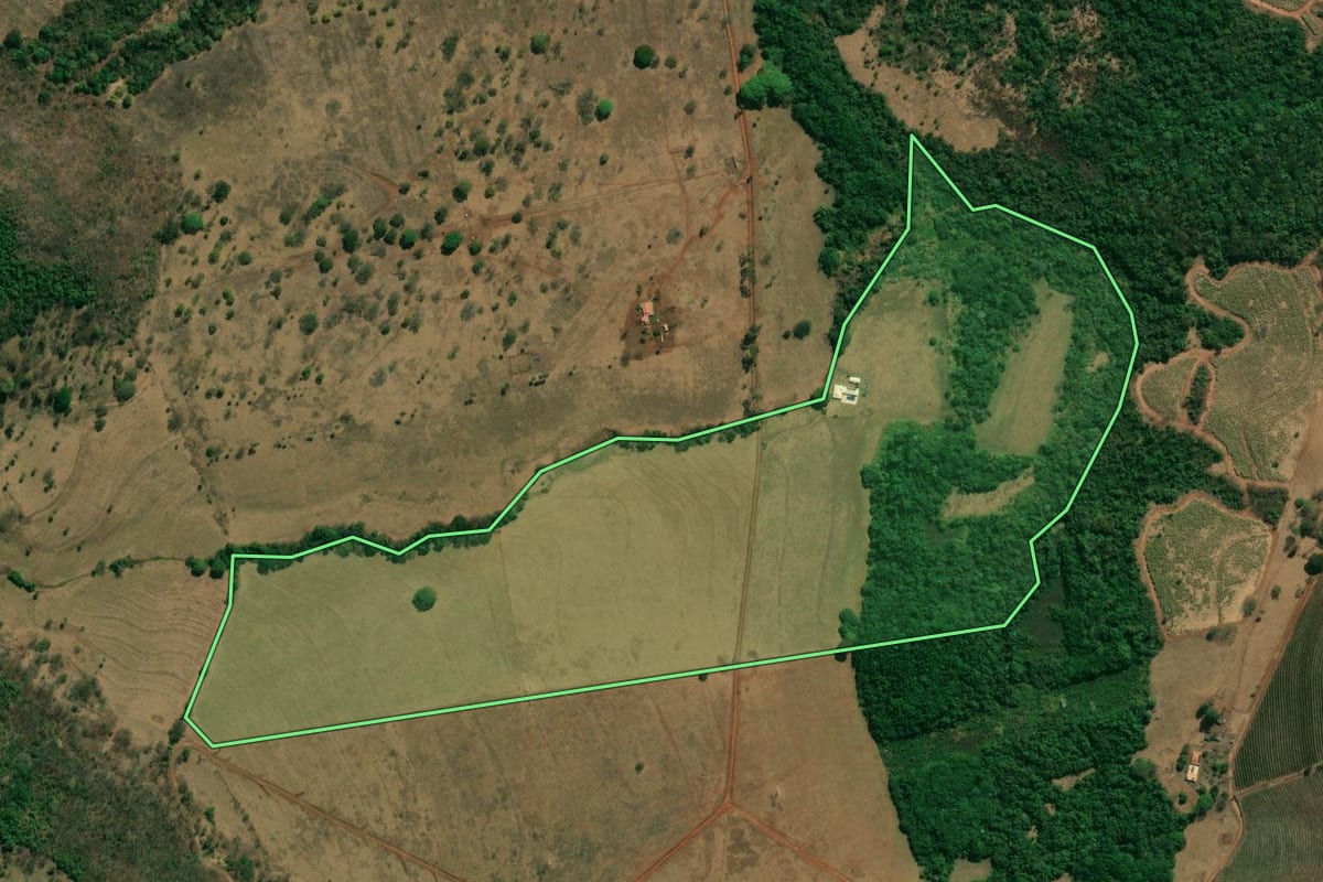 Imagem de satélite do imóvel rural em Pedregulho (SP), com o contorno declarado no CAR desenhado por cima.