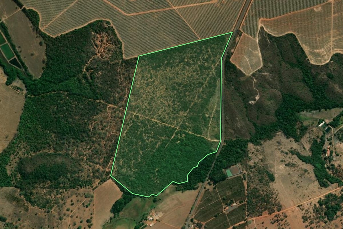Imagem de satélite do imóvel rural em Pedregulho (SP), com o contorno declarado no CAR desenhado por cima.