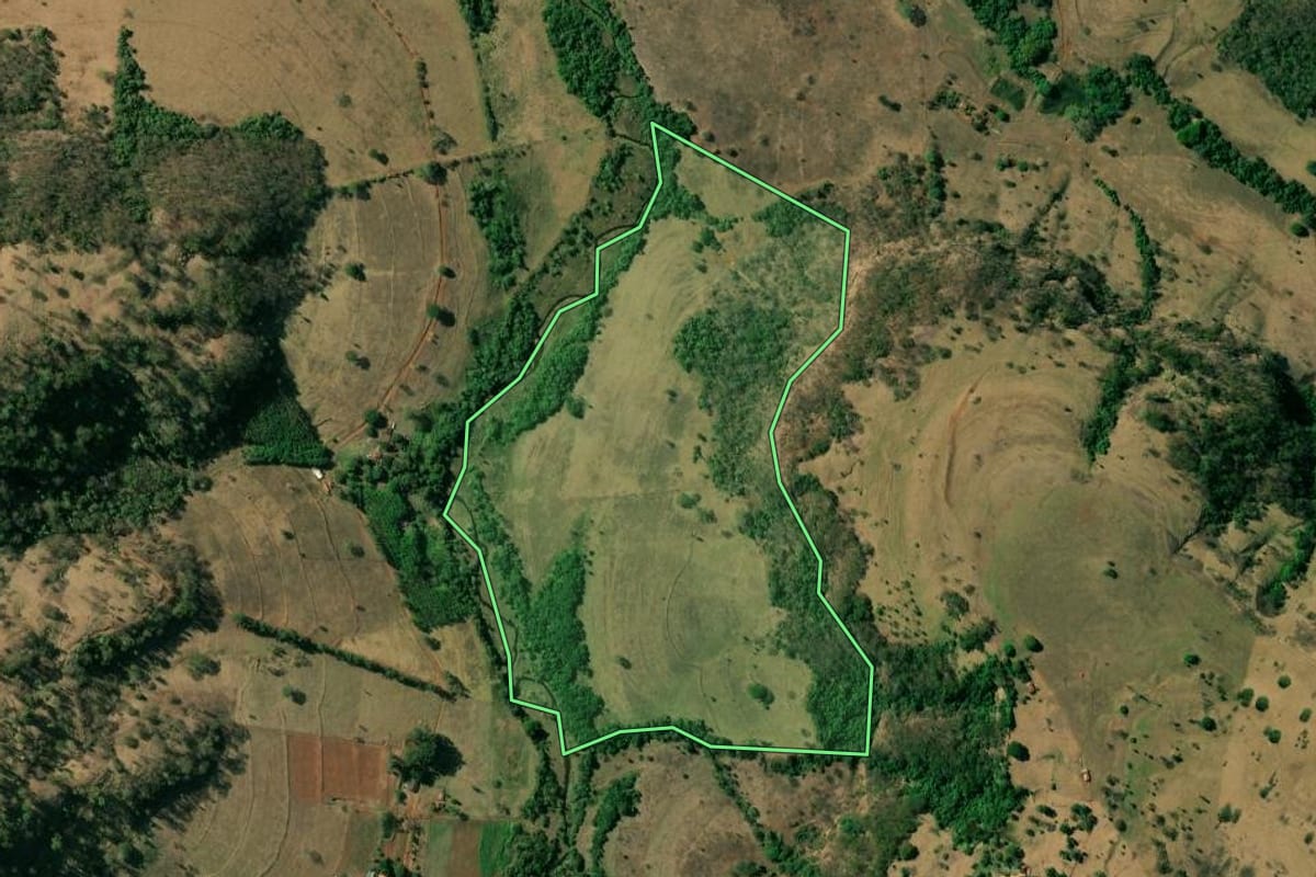 Imagem de satélite do imóvel rural em Pedregulho (SP), com o contorno declarado no CAR desenhado por cima.